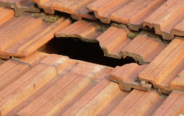 roof repair Wormit, Fife